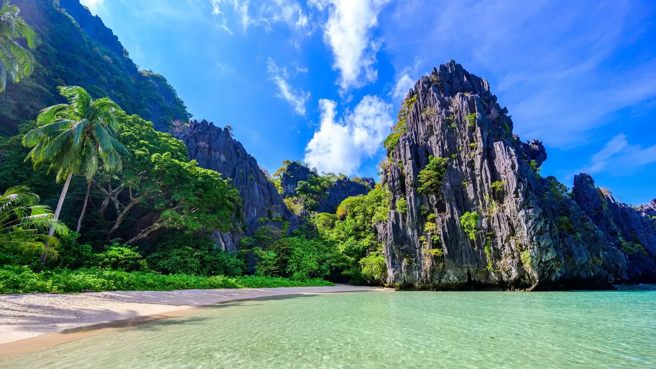 study mbbs in Philippines without donation