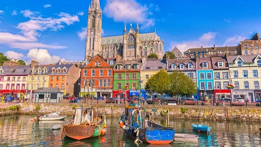 study mbbs in Ireland without donation